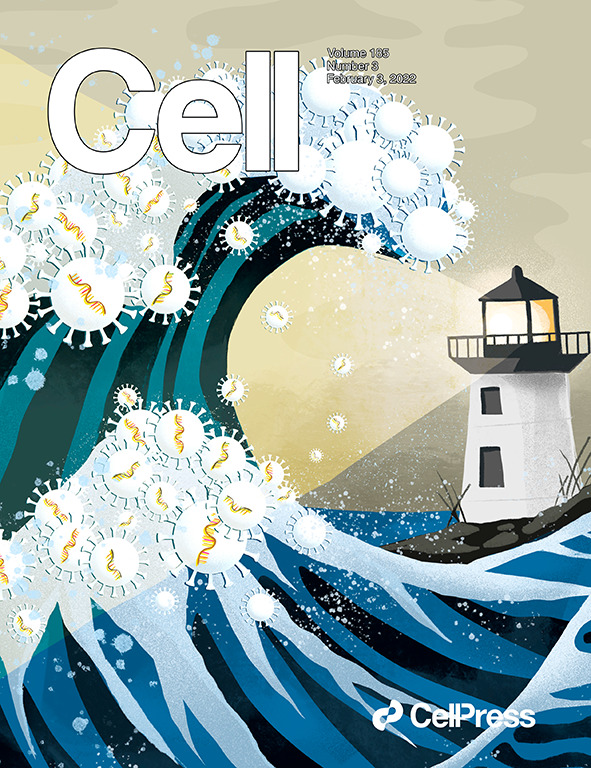 Delta transmission network